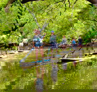 Byron Stand Up Paddle Nature Tour - Attractions