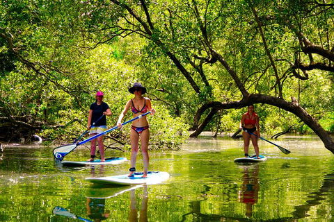 Byron Stand Up Paddle Nature Tour - Attractions 4
