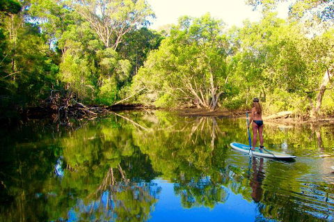 Byron Stand Up Paddle Nature Tour - Attractions 3