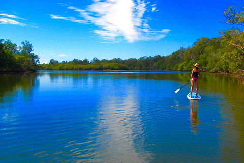 Byron Stand Up Paddle Nature Tour - Attractions 5