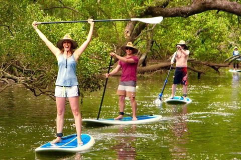 Byron Stand Up Paddle Nature Tour - Attractions 7