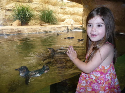 WILD LIFE Sydney Entrance Ticket - Attractions 2