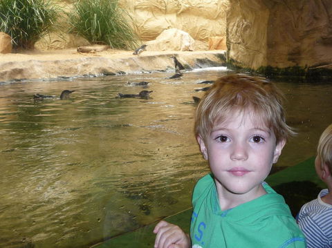 WILD LIFE Sydney Entrance Ticket - Attractions 5