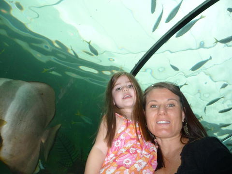 WILD LIFE Sydney Entrance Ticket - Attractions 4