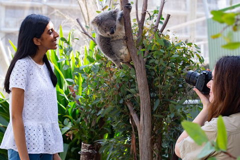 WILD LIFE Sydney Entrance Ticket - Attractions 22