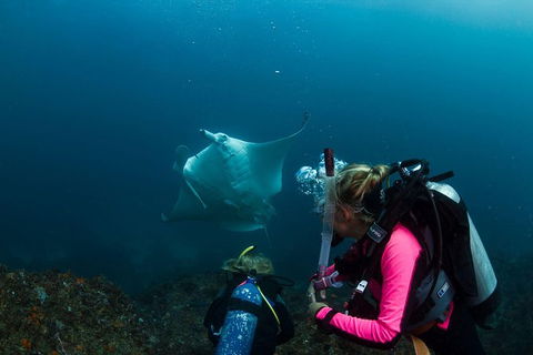 5-Hour Byron Bay Introductory Scuba Diving Tour - Attractions 2