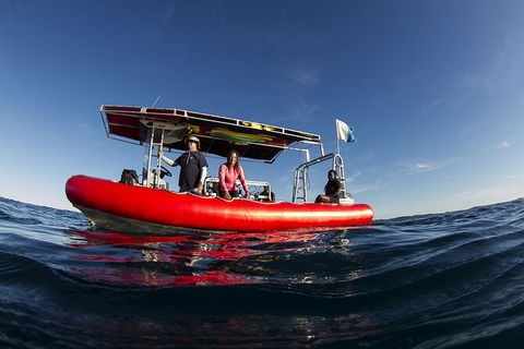5-Hour Byron Bay Introductory Scuba Diving Tour - Attractions 10
