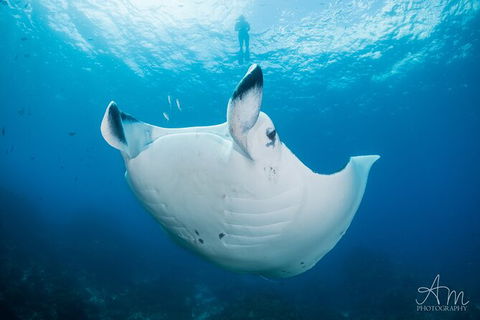 5-Hour Byron Bay Introductory Scuba Diving Tour - Attractions 8