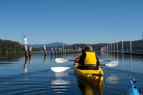 Batemans Bay Oyster Tasting Kayak Tour - Attractions 7