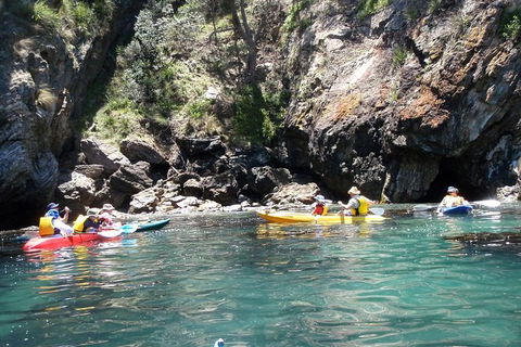 Batemans Bay Glass-Bottom Kayak Tour Over 2 Relaxing Hours - Attractions 1