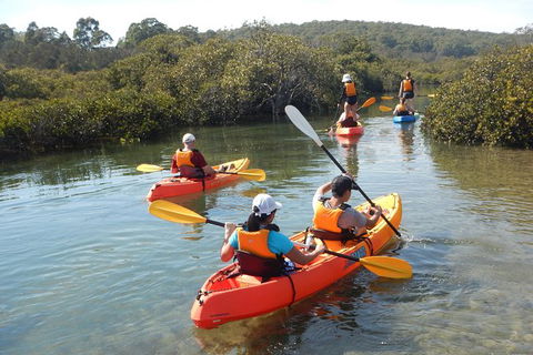 Batemans Bay Glass-Bottom Kayak Tour Over 2 Relaxing Hours - Attractions 4