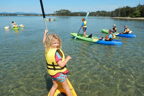 Batemans Bay Glass-Bottom Kayak Tour Over 2 Relaxing Hours - Attractions 2