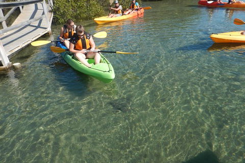 Batemans Bay Glass-Bottom Kayak Tour Over 2 Relaxing Hours - Attractions 5