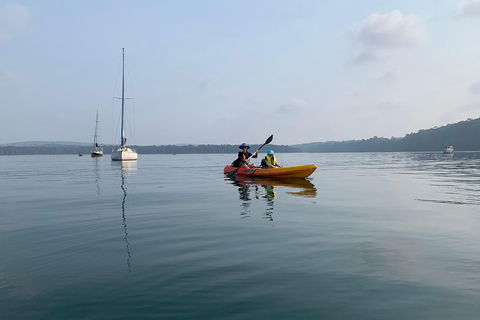 Batemans Bay Glass-Bottom Kayak Tour Over 2 Relaxing Hours - Attractions 7