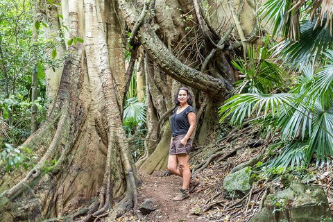 South Coast Private Bucket List Full Day Tour - Attractions 0