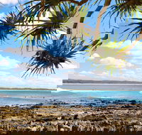 Arrawarra-Corindi Beach - Attractions