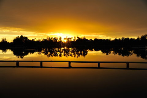 Barmedman Mineral Pool - Attractions 2