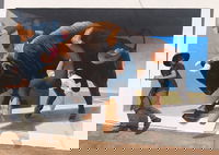 Big Bull Mural