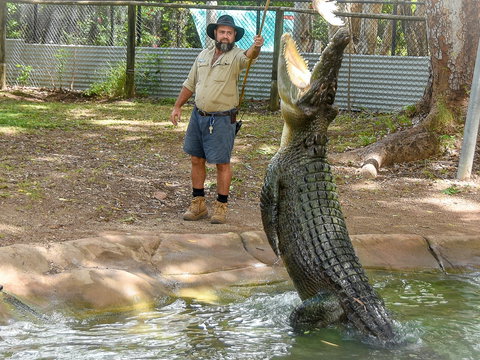 Billabong Sanctuary - Attractions 1