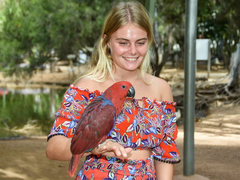 Billabong Sanctuary - Attractions 2