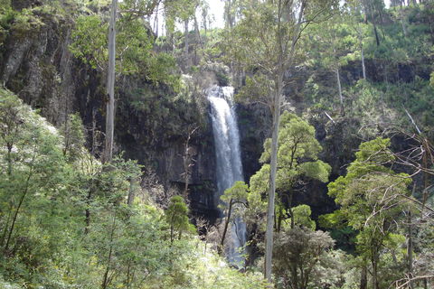 Bindaree Falls - Attractions 0