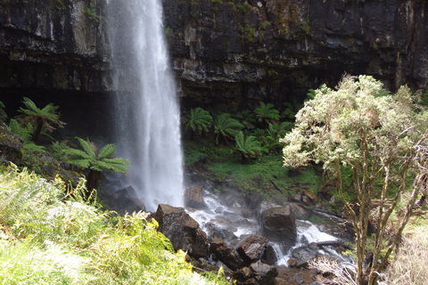 Bindaree Falls - Attractions 1