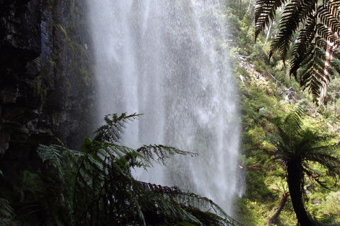 Bindaree Falls - Attractions 2