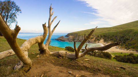 Blowhole Beach - Attractions 0