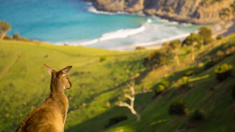 Blowhole Beach - Attractions 1