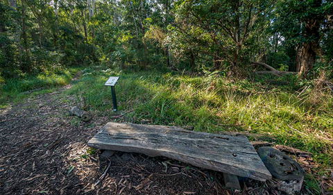 Browns Forest Loop Trail - Attractions 0