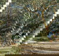 Bundanoon cycling route - Attractions