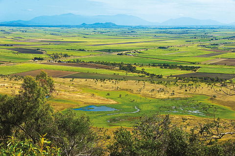 Burdekin - Attractions 1