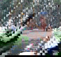 Buxton Trout and Salmon Farm - Attractions Las Vegas