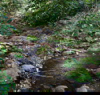Cascades picnic area - Attractions