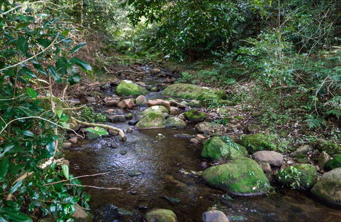 Cascades Picnic Area - Attractions 0