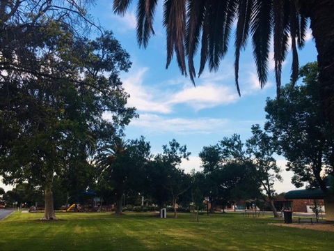 Cobram Mivo Park And Playground - Attractions 1