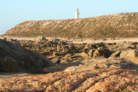 Corny Point Lighthouse - Attractions 0