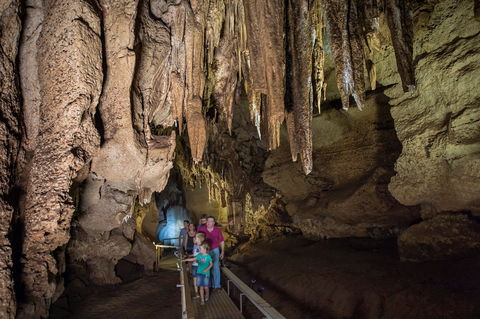 Cutta Cutta Caves Nature Park - Attractions 0
