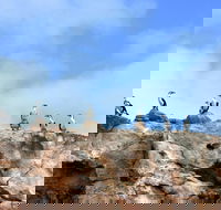 Dirk Hartog Island National Park - Attractions