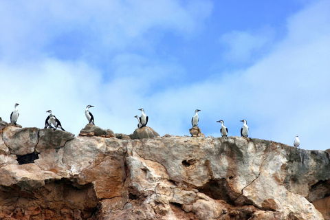 Dirk Hartog Island National Park - Attractions 0