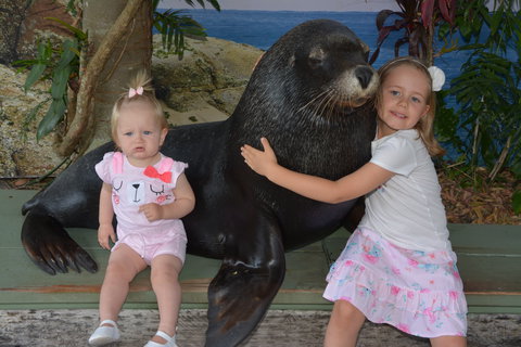 Dolphin Marine Conservation Park - Attractions Las Vegas 1