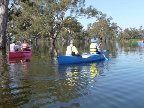 Doodle Cooma Swamp - Attractions 0
