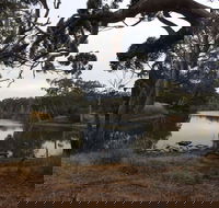 Duck Lagoon - Attractions