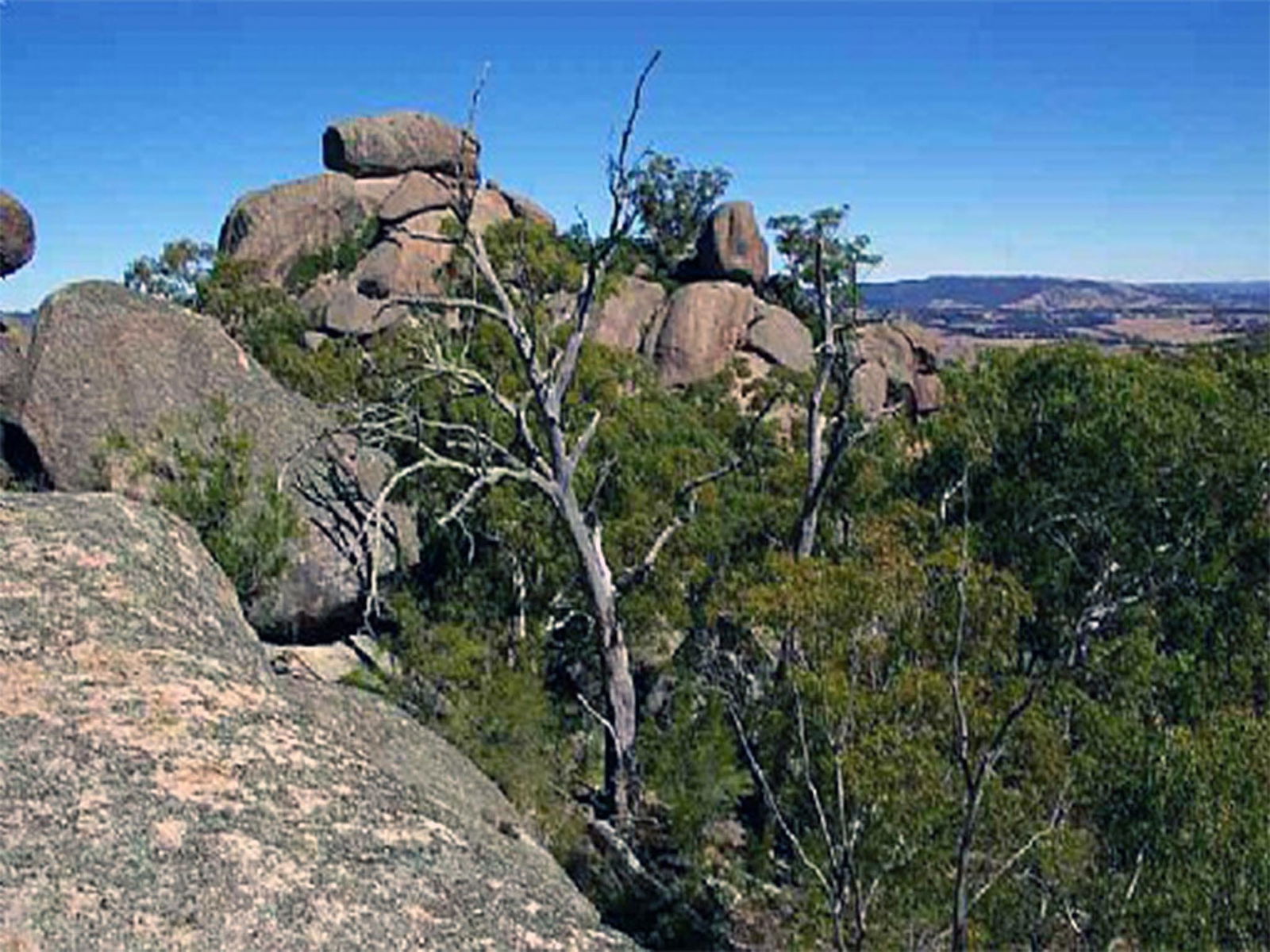 Tarana NSW Attractions
