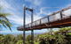 Forest Sky Pier, Sealy Lookout - thumb 0