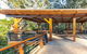 Forest Sky Pier, Sealy Lookout - thumb 1