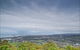Forest Sky Pier, Sealy Lookout - thumb 2