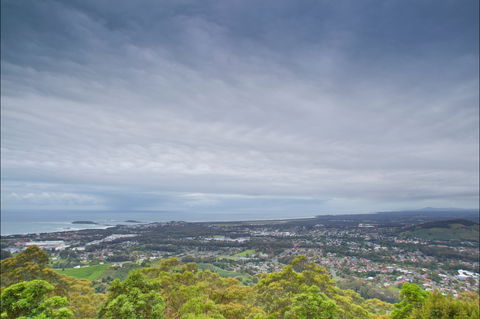 Forest Sky Pier, Sealy Lookout - Attractions 2