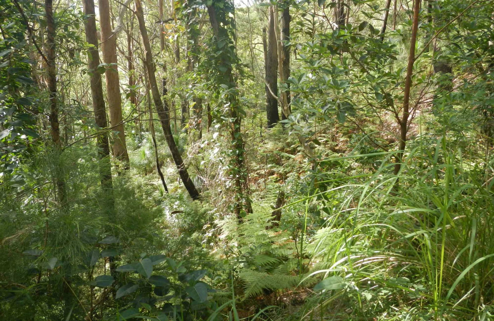 Arakoon NSW Attractions