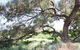 Gathercole Nature Reserve - thumb 0